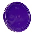 Purple Solid Tear Tab Bucket Lid