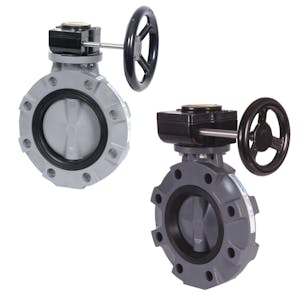 Hayward® BYV Series Butterfly Valves - Gear Operated