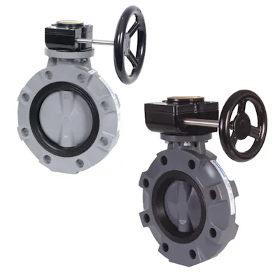 Hayward® BYV Series Butterfly Valves - Gear Operated