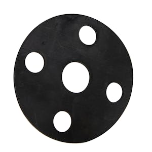 3/4" Chemtrol® Neoprene Flange Gasket for Class 150 Flanges