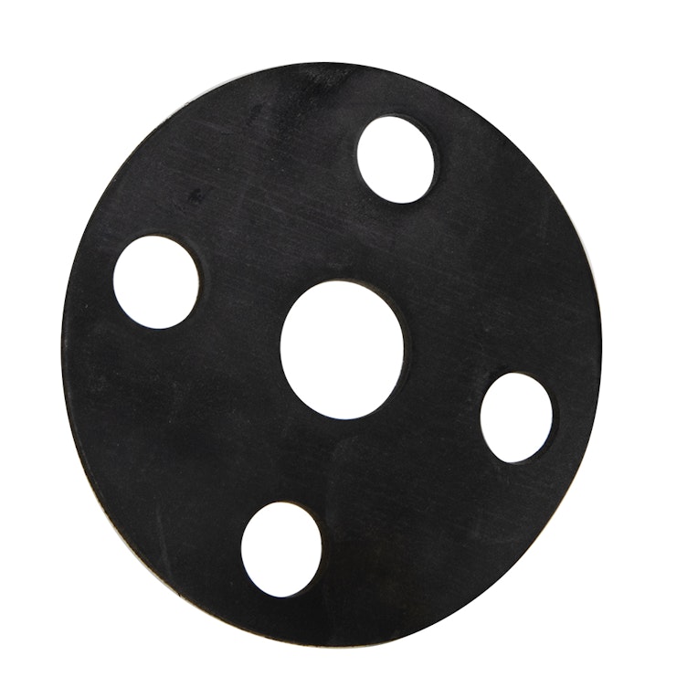 3/4" Chemtrol® Neoprene Flange Gasket for Class 150 Flanges