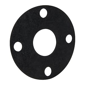 2" Chemtrol® Neoprene Flange Gasket for Class 150 Flanges