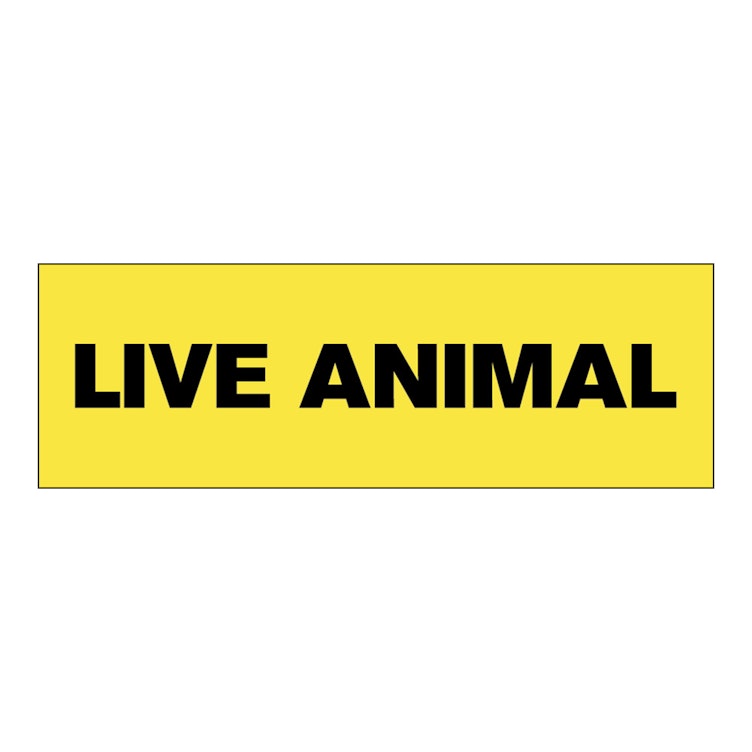 "Live Animal" Rectangular Paper Label with Yellow Background - 3" x 1"