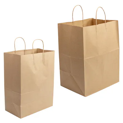 Kraft Paper Bags with Twisted Handles
