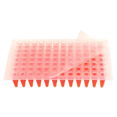 Pre-Cut Natural Transparent PCR Plate Sealing Film - Package of 100