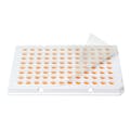 Pre-Cut Clear Sticky Adhesive PCR Plate Sealing Film for qPCR Optical Bio-Rad® Type Applications - Package of 100