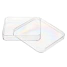 Nunc™ Lab-Tek® Clear Polystyrene Square Sterile Petri Dish with Vents - Case of 500