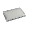 120µL Non-Sterile OptiWell™ Deep Well Plate with 384 Square Wells & V Bottom - 10 per Bag; 10 Bags Per Case