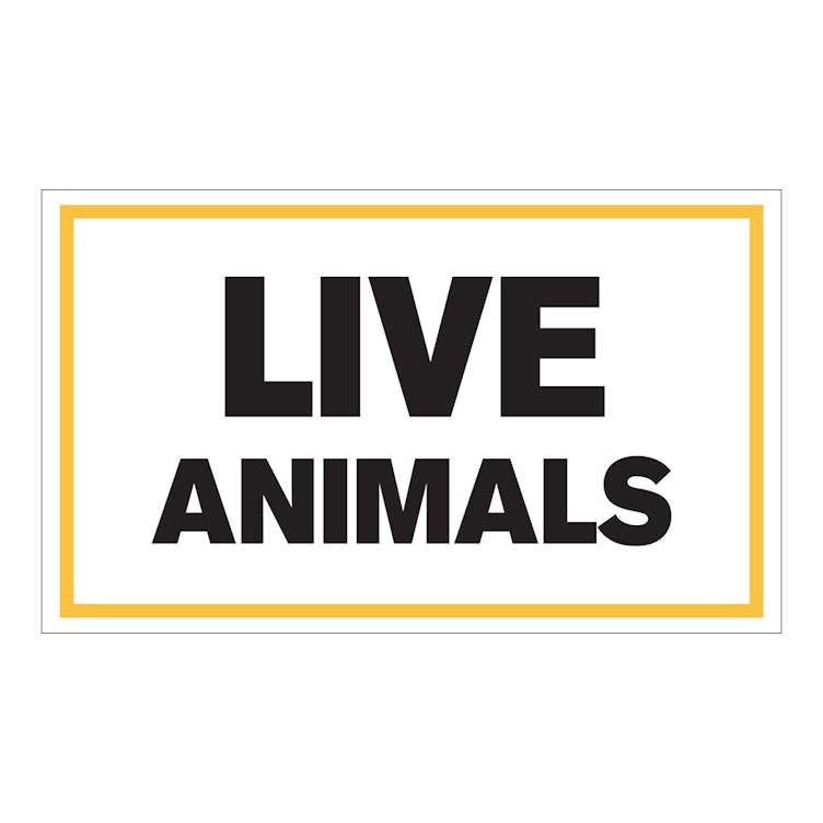 "Live Animals" Horizontal Rectangular Paper Label with Yellow Border - 3" x 5"