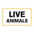 "Live Animals" Horizontal Rectangular Paper Label with Yellow Border - 3" x 5"
