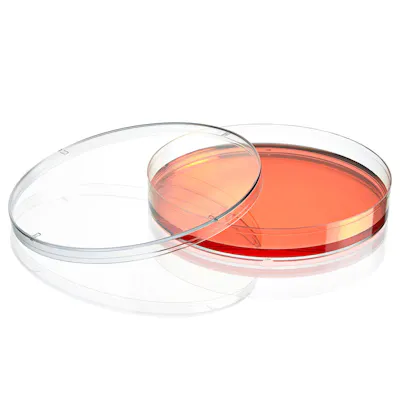 150mm Dia. x 20mm Hgt. Sterile Clear Polystyrene TC-Treated Diamond® SureGro™ Cell Culture Dish - 5 per Bag; 20 Bags per Case