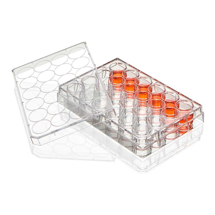 1.93cm<sup>2</sup> Sterile TC-Treated Diamond® SureGro™ Well Plate with 24 Wells & Flat Bottom - Individually Wrapped; Case of 100