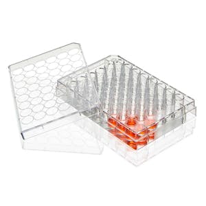 0.84cm<sup>2</sup> Sterile TC-Treated Diamond® SureGro™ Well Plate with 48 Wells & Flat Bottom - Individually Wrapped; Case of 50