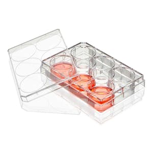 17mL Sterile Non-Treated Diamond® SureGro™ Well Plate with 6 Wells & Flat Bottom - Individually Wrapped; Case of 50