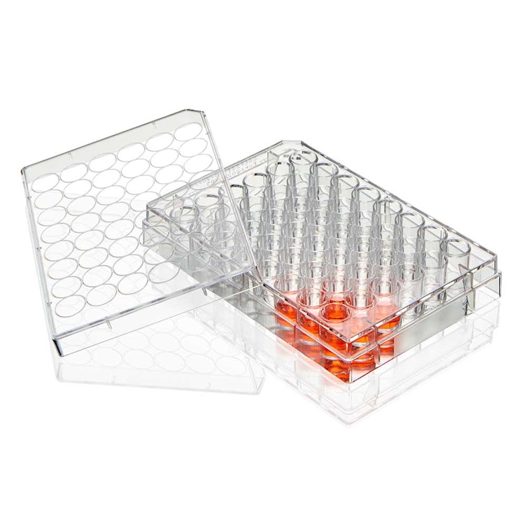 1.55mL Sterile Non-Treated Diamond® SureGro™ Well Plate with 48 Wells & Flat Bottom - Individually Wrapped; Case of 50