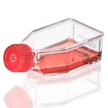 25cm<sup>2</sup> Sterile TC-Treated Diamond® SureGro™ Culture Flask with Red Vented Cap - 10 per Bag; 20 Bags per Case