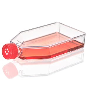 182cm<sup>2</sup> Sterile TC-Treated Diamond® SureGro™ Culture Flask with Red Vented Cap - 5 per Bag; 8 Bags per Case