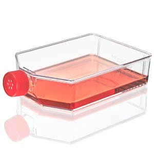 225cm<sup>2</sup> Sterile TC-Treated Diamond® SureGro™ Culture Flask with Red Vented Cap - 5 per Bag; 5 Bags per Case
