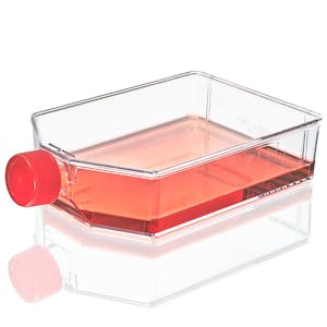 225cm<sup>2</sup> Sterile TC-Treated Diamond® SureGro™ Culture Flask with Red Plug Seal Cap - 5 per Bag; 5 Bags per Case