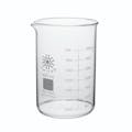 4000mL Low Form Glass Beaker