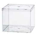 Clear Polystyrene Box with Flat Top Lid - 4" L x 4" W x 3-1/4" Hgt. (Case of 16)