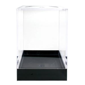 Clear Polystyrene Showcase Box with Black Pedestal - 2-5/16" L x 2-5/16" W x 3-3/8" Hgt. (Case of 15)