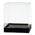 Clear Polystyrene Showcase Box with Black Pedestal - 4" L x 4" W x 4-7/16" Hgt. (Case of 8)