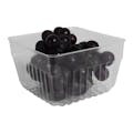 1 Quart Clear Polystyrene Square Open-Top Vented Produce Tray - Case of 1000