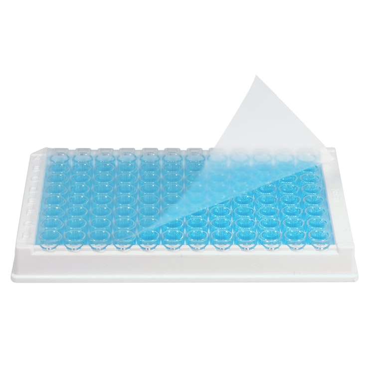 Pre-Cut Sterile Clear Transparent PCR Plate Sealing Film for ELISA Applications - Package of 100