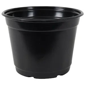 6" Round Black Thermoformed Maxi-Grow Azalea Plant Pot - 6" Dia. X 4.38" Hgt. (Case of 220)