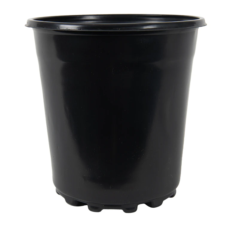 6.5" Round Black Thermoformed Maxi-Grow Trade Gallon Plant Pot with Tag Slots - 6.5" Dia. x 6.5" Hgt. (Case of 200)