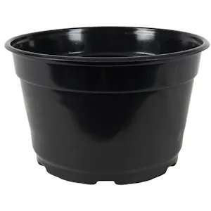 8" Round Black Thermoformed Maxi-Grow Mum Plant Pot - 8" Dia. x 5" Hgt. (Case of 300)