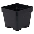 3" Square Black Thermoformed  Plant Pot - 2.63" L x 2.63" W x 2.25" Hgt. (Case of 800)