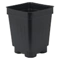 3" Square Black Thermoformed  Deep Plant Pot - 2.63" L x 2.63" W x 3.5" Hgt. (Case of 800)