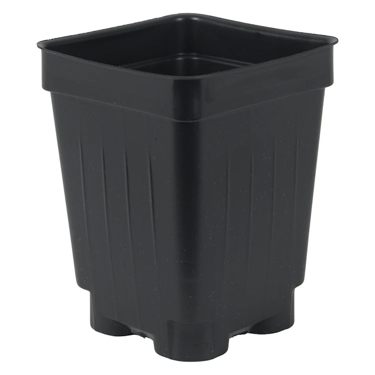 3" Square Black Thermoformed  Deep Plant Pot - 2.63" L x 2.63" W x 3.5" Hgt. (Case of 800)