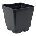4" Square Black Thermoformed  Plant Pot - 3.5" L x 3.5" W x 3.5" Hgt. (Case of 450)