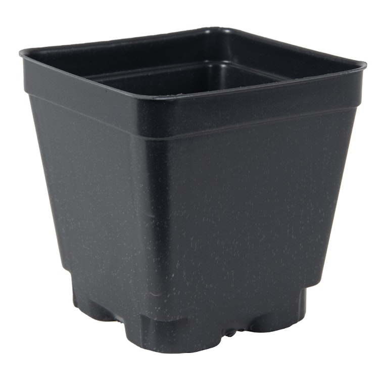 4" Square Black Thermoformed  Plant Pot - 3.5" L x 3.5" W x 3.5" Hgt. (Case of 450)