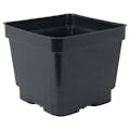 4.5" Square Black Thermoformed  Plant Pot - 4.19" L x 4.19" W x 3.63" Hgt. (Case of 375)