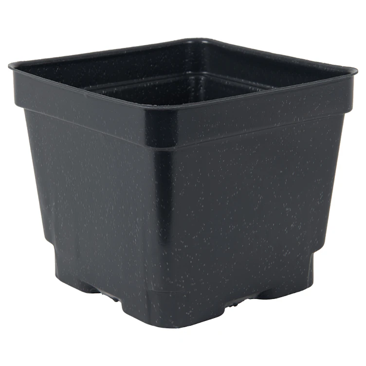 4.5" Square Black Thermoformed  Plant Pot - 4.19" L x 4.19" W x 3.63" Hgt. (Case of 375)
