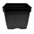 4.5" Square Black Thermoformed  Plant Pot - 4.19" L x 4.19" W x 3.63" Hgt. (Case of 375)