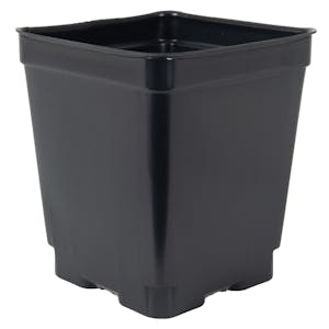 4.5" Square Black Thermoformed  Deep Plant Pot - 4.19" L x 4.19" W x 4.88" Hgt. (Case of 375)