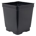 4.5" Square Black Thermoformed  Deep Plant Pot - 4.19" L x 4.19" W x 4.88" Hgt. (Case of 375)