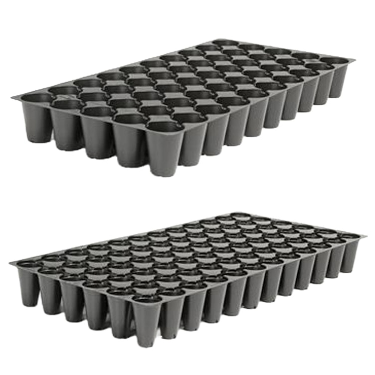 Propagation Plug Trays