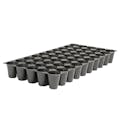 50-Plug Rectangular Black Polystyrene Propagation Tray - 20.85" L x 10.42" W x 2.38" Hgt. (Case of 100)