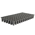 72-Plug Rectangular Black Polystyrene Propagation Tray - 20.85" L x 10.42" W x 2.38" Hgt. (Case of 100)