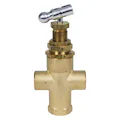 145-175 psi Brass Pilot Valve