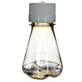 125mL Clear Polycarbonate Sterile Baffled-Bottom Erlenmeyer Flask with 38/430 White Polypropylene Non-Vented Cap - Case of 24