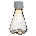 250mL Clear Polycarbonate Sterile Baffled-Bottom Erlenmeyer Flask with 38/430 White Polypropylene Non-Vented Cap - Case of 12