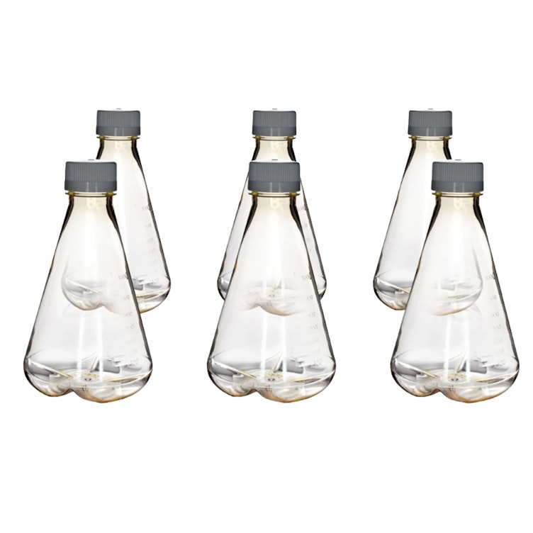 1000mL Clear Polycarbonate Sterile Baffled-Bottom Erlenmeyer Flask with 45/430 White Polypropylene Non-Vented Cap - Case of 6