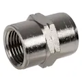 1/2" FNPT x 1/2" FNPT Nickel-Plated Brass Threaded Female Coupling